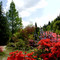 Jardin Botanique de Gondremer