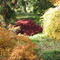 Jardin Botanique de Gondremer