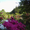 Jardin Botanique de Gondremer